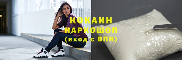 хмурый Алзамай